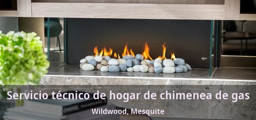 Servicio técnico de hogar de chimenea de gas Wildwood, Mesquite - TX Servicio técnico de hogar de chimenea de gas Wildwood, Mesquite - TX
