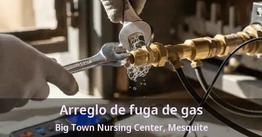 Arreglo de fuga de gas Big Town Nursing Center, Mesquite - TX