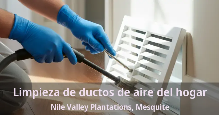 Limpieza de ductos de aire del hogar Nile Valley Plantations, Mesquite - TX Limpieza de ductos de aire del hogar Nile Valley Plantations, Mesquite - TX