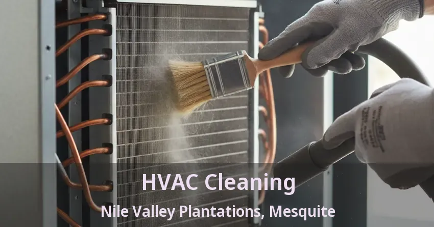 HVAC Cleaning Nile Valley Plantations, Mesquite - TX