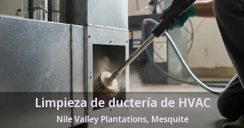 Limpieza de ductería de HVAC Nile Valley Plantations, Mesquite - TX