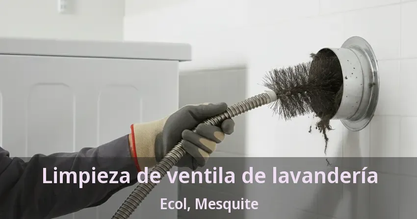 Limpieza de ventila de lavandería Ecol, Mesquite - TX
