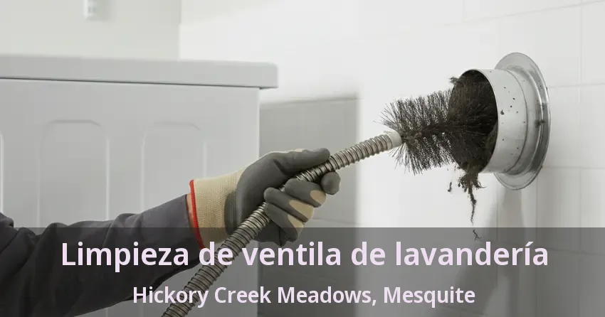 Limpieza de ventila de lavandería Hickory Creek Meadows, Mesquite - TX Limpieza de ventila de lavandería Hickory Creek Meadows, Mesquite - TX