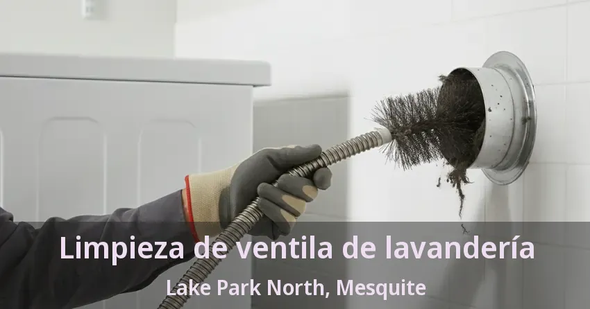 Limpieza de ventila de lavandería Lake Park North, Mesquite - TX