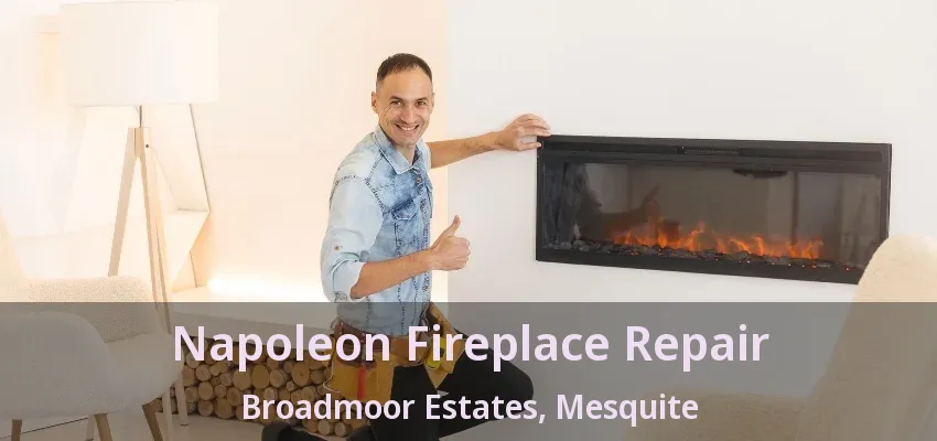 Napoleon Fireplace Repair Broadmoor Estates, Mesquite - TX