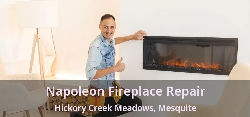 Napoleon Fireplace Repair Hickory Creek Meadows, Mesquite - TX
