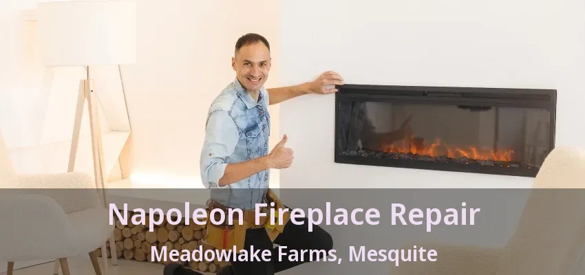 Napoleon Fireplace Repair Meadowlake Farms, Mesquite - TX