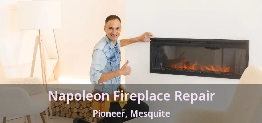Napoleon Fireplace Repair Pioneer, Mesquite - TX
