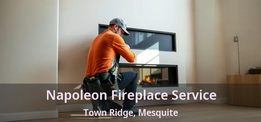 Napoleon Fireplace Service Town Ridge, Mesquite - TX