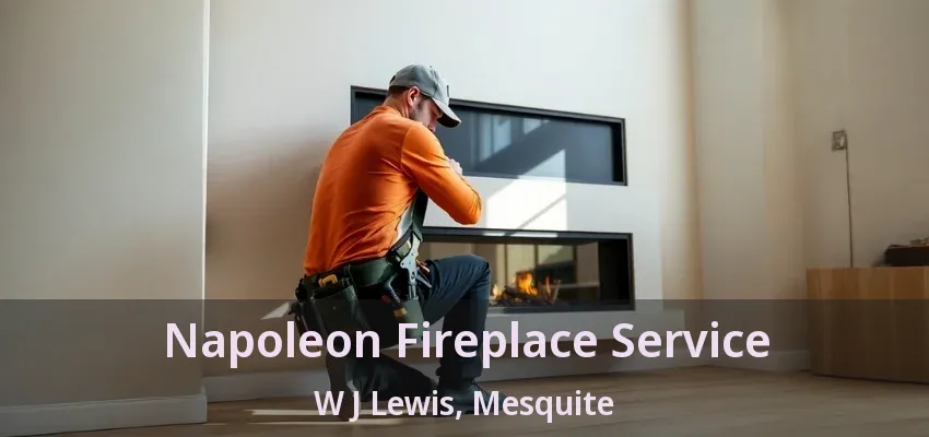 Napoleon Fireplace Service W J Lewis, Mesquite - TX