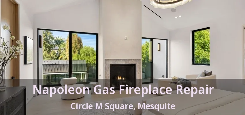 Napoleon Gas Fireplace Repair Circle M Square, Mesquite - TX