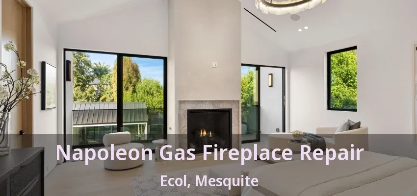 Napoleon Gas Fireplace Repair Ecol, Mesquite - TX