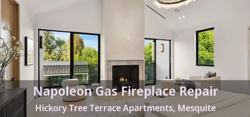 Napoleon Gas Fireplace Repair Hickory Tree Terrace Apartments, Mesquite - TX