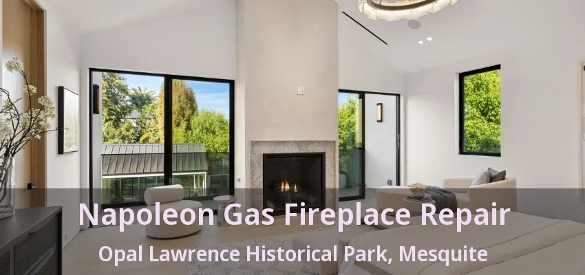 Napoleon Gas Fireplace Repair Opal Lawrence Historical Park, Mesquite - TX