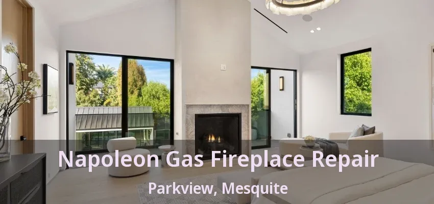 Napoleon Gas Fireplace Repair Parkview, Mesquite - TX