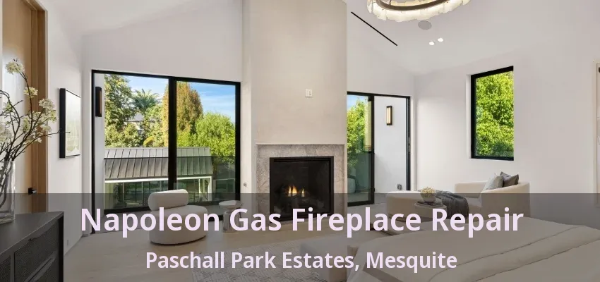 Napoleon Gas Fireplace Repair Paschall Park Estates, Mesquite - TX