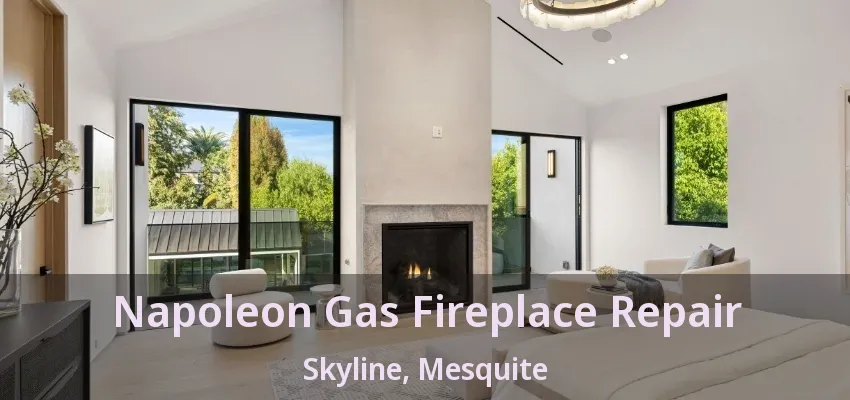 Napoleon Gas Fireplace Repair Skyline, Mesquite - TX
