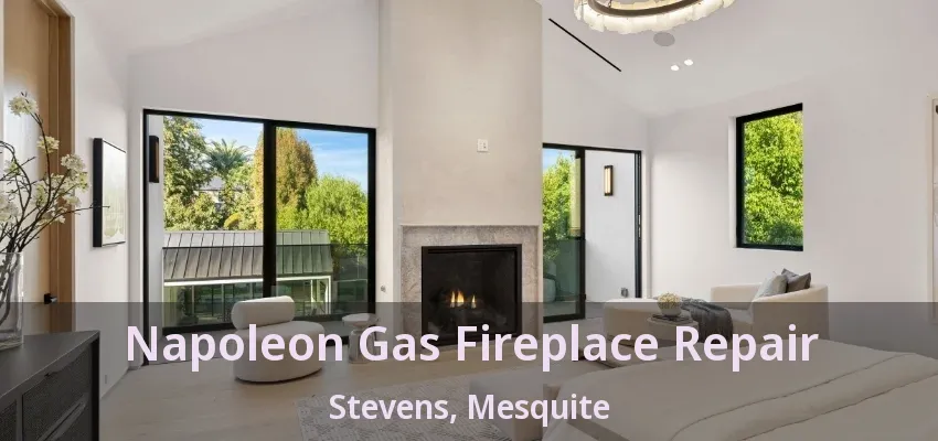 Napoleon Gas Fireplace Repair Stevens, Mesquite - TX