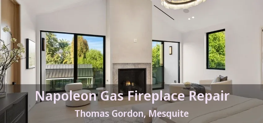 Napoleon Gas Fireplace Repair Thomas Gordon, Mesquite - TX