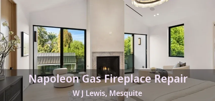 Napoleon Gas Fireplace Repair W J Lewis, Mesquite - TX