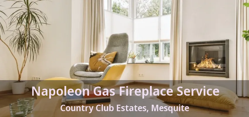 Napoleon Gas Fireplace Service Country Club Estates, Mesquite - TX