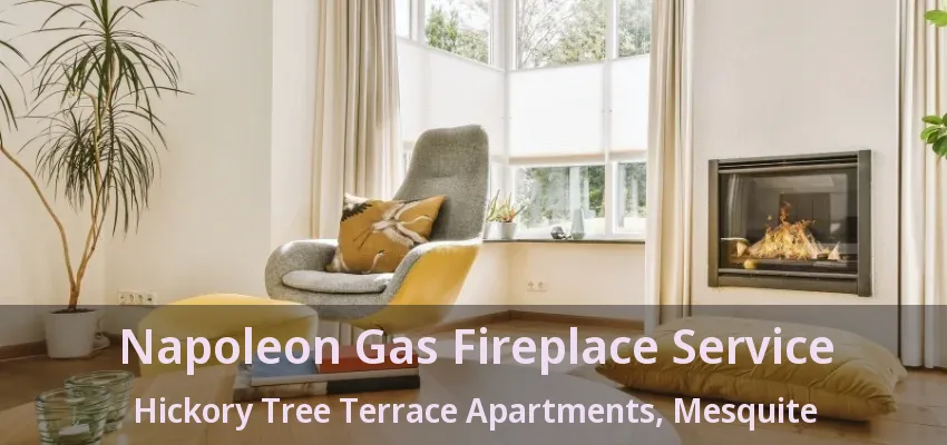 Napoleon Gas Fireplace Service Hickory Tree Terrace Apartments, Mesquite - TX