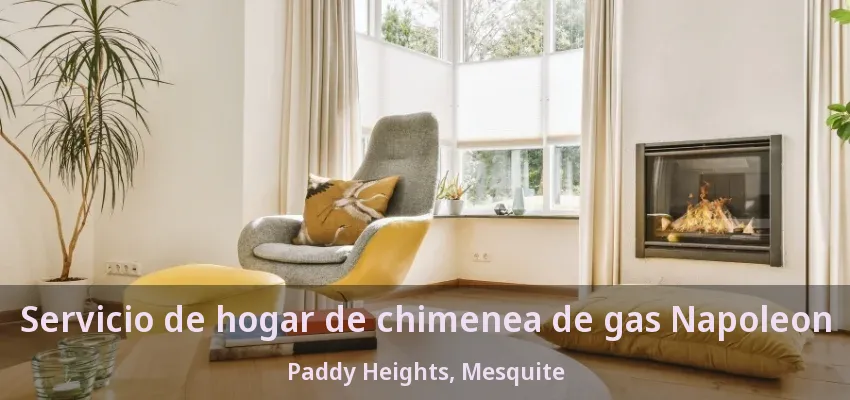 Servicio de hogar de chimenea de gas Napoleon Paddy Heights, Mesquite - TX