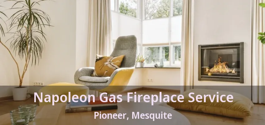 Napoleon Gas Fireplace Service Pioneer, Mesquite - TX