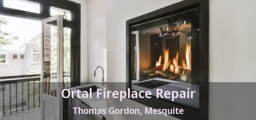 Ortal Fireplace Repair Thomas Gordon, Mesquite - TX