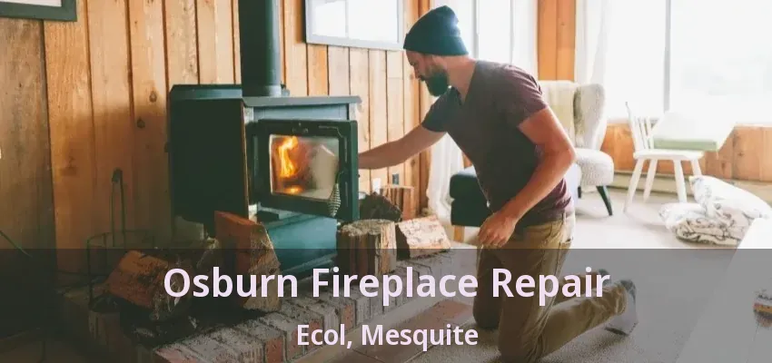 Osburn Fireplace Repair Ecol, Mesquite - TX
