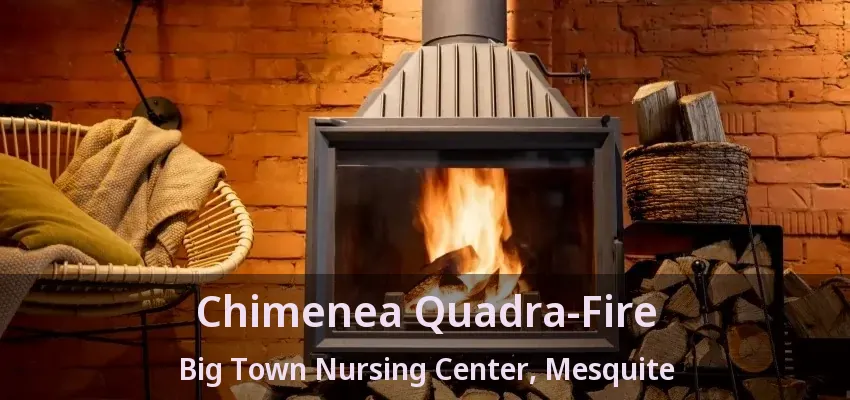 Chimenea Quadra-Fire Big Town Nursing Center, Mesquite - TX