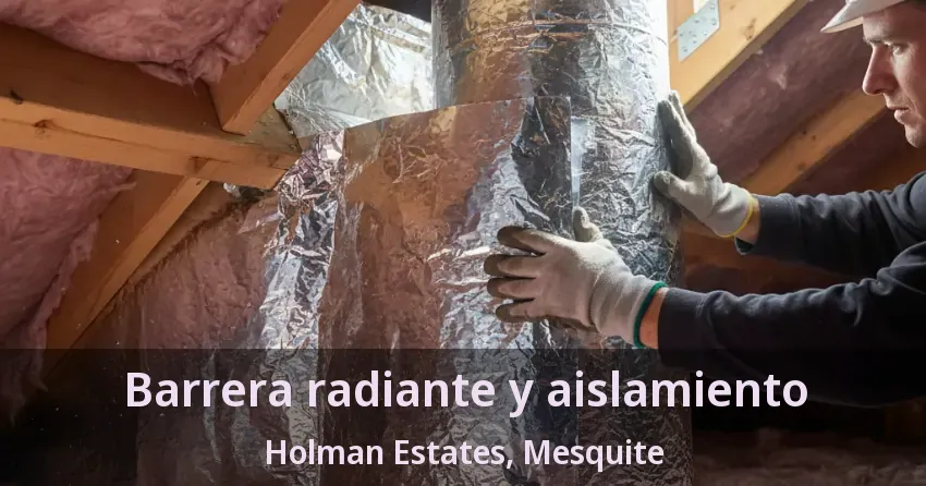 Barrera radiante y aislamiento Holman Estates, Mesquite - TX