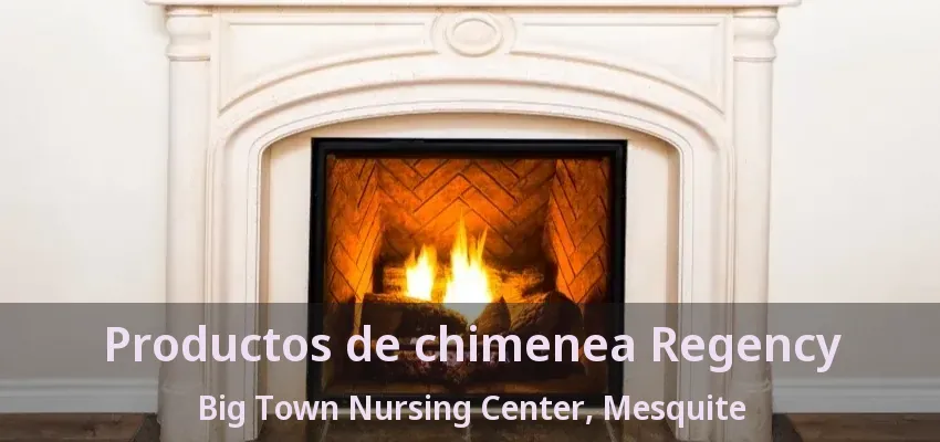 Productos de chimenea Regency Big Town Nursing Center, Mesquite - TX