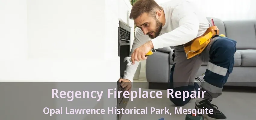 Regency Fireplace Repair Opal Lawrence Historical Park, Mesquite - TX