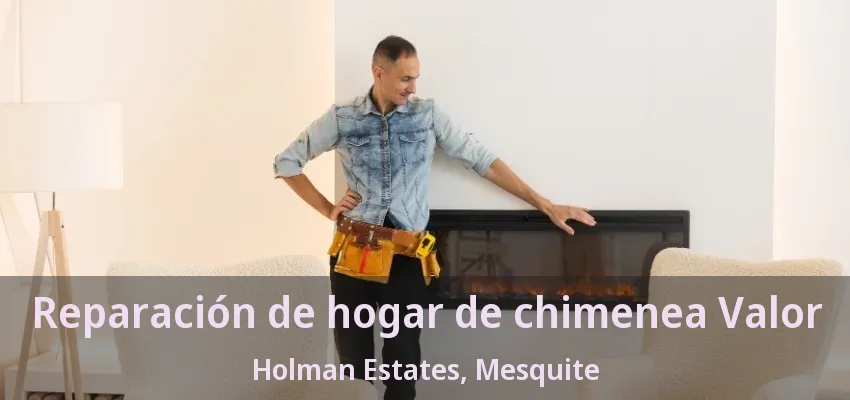 Reparación de hogar de chimenea Valor Holman Estates, Mesquite - TX