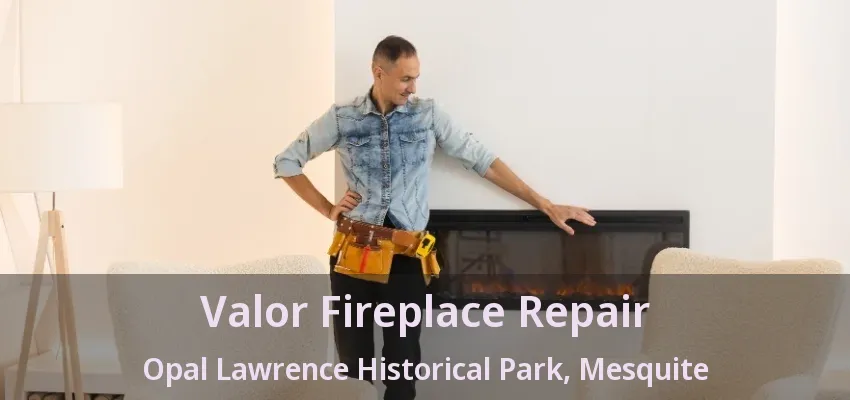 Valor Fireplace Repair Opal Lawrence Historical Park, Mesquite - TX