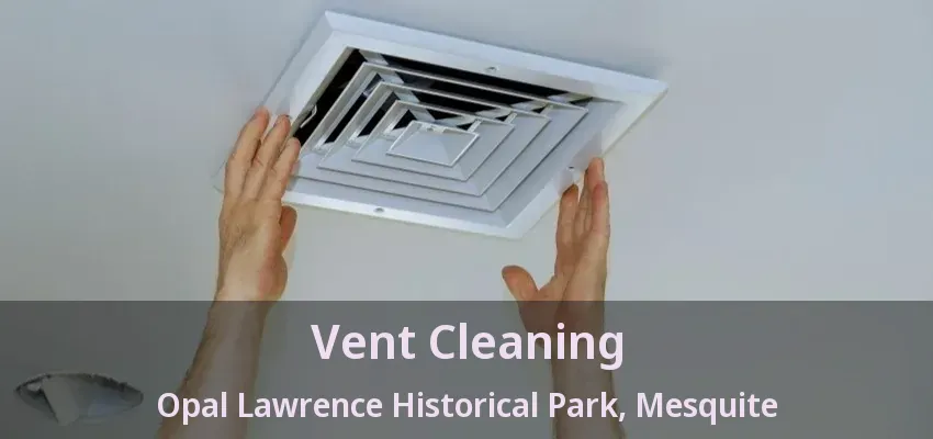 Vent Cleaning Opal Lawrence Historical Park, Mesquite - TX