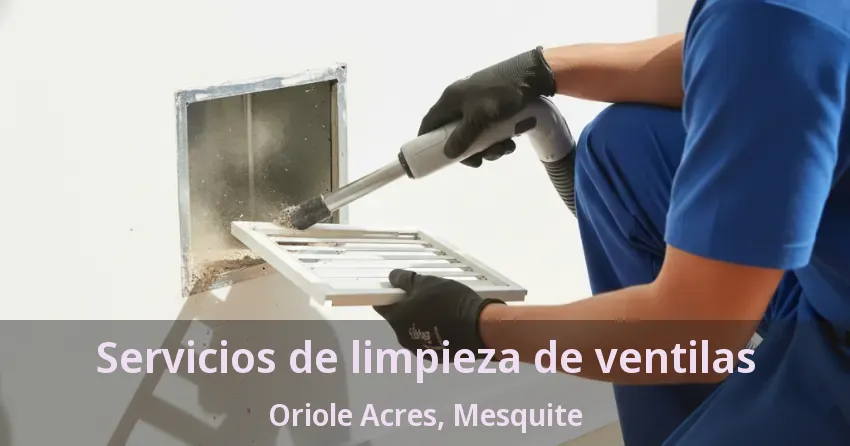 Servicios de limpieza de ventilas Oriole Acres, Mesquite - TX