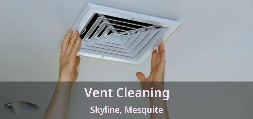 Vent Cleaning Skyline, Mesquite - TX
