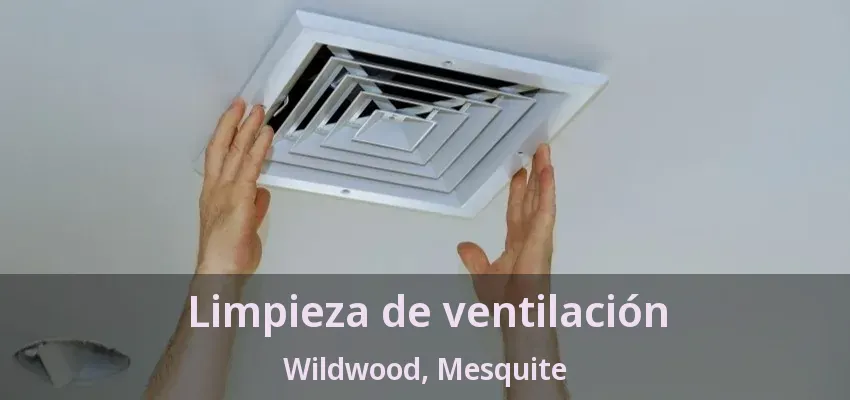 Limpieza de ventilación Wildwood, Mesquite - TX