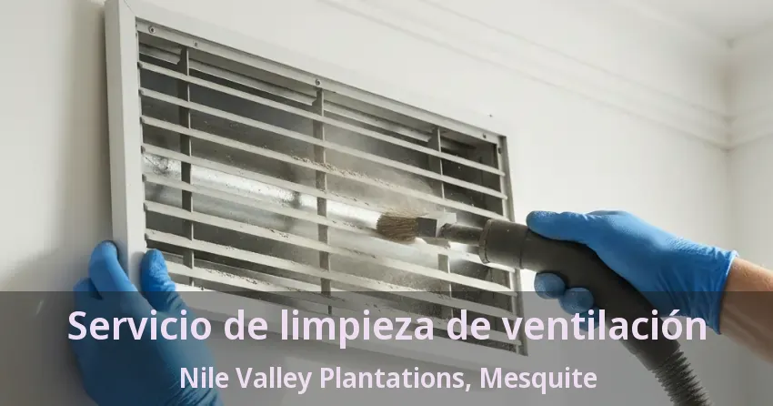 Servicio de limpieza de ventilación Nile Valley Plantations, Mesquite - TX