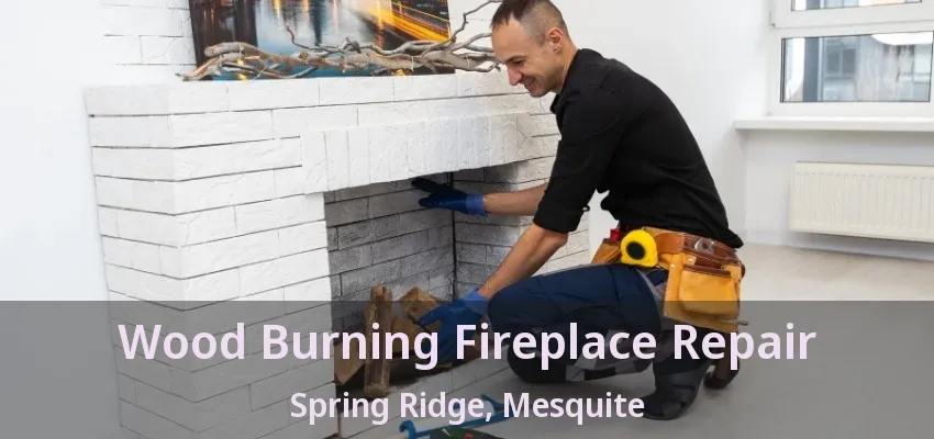 Wood Burning Fireplace Repair Spring Ridge, Mesquite - TX