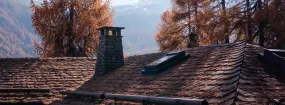 Chimney Animal Removal Pioneer, Mesquite