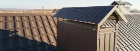 Chimney Cap Services Pioneer, Mesquite