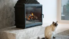 Wood Burning Fireplace Repair Thomas Gordon, Mesquite