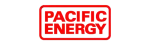 Pacific Energy Regency Fireplace Repair in Mesquite